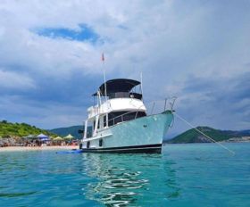 KONG Y HALVORSEN GYPSY EUROPA 36
