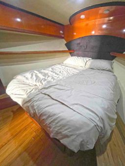 
										LUHRS 41 full									