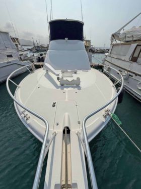 LUHRS 41