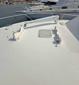 
										LUHRS 41 full									