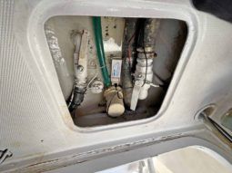 
										LUHRS 41 full									