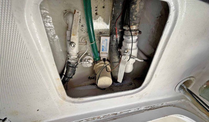
								LUHRS 41 full									