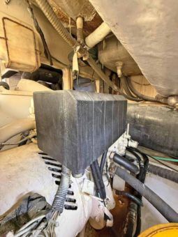 
										LUHRS 41 full									