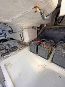 
										LUHRS 41 full									