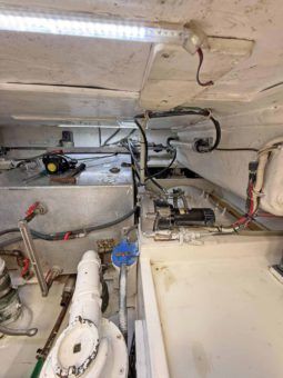 
										LUHRS 41 full									