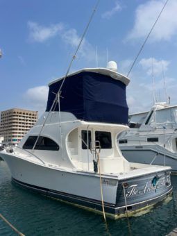 
										LUHRS 41 full									