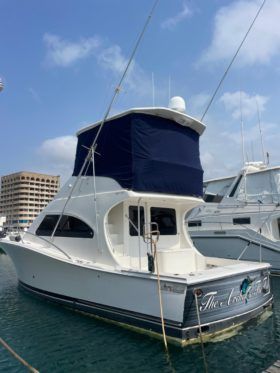 LUHRS 41