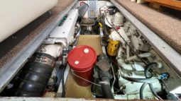 LUHRS 36 full