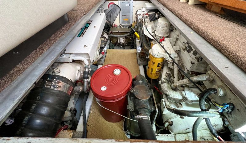 LUHRS 36 full