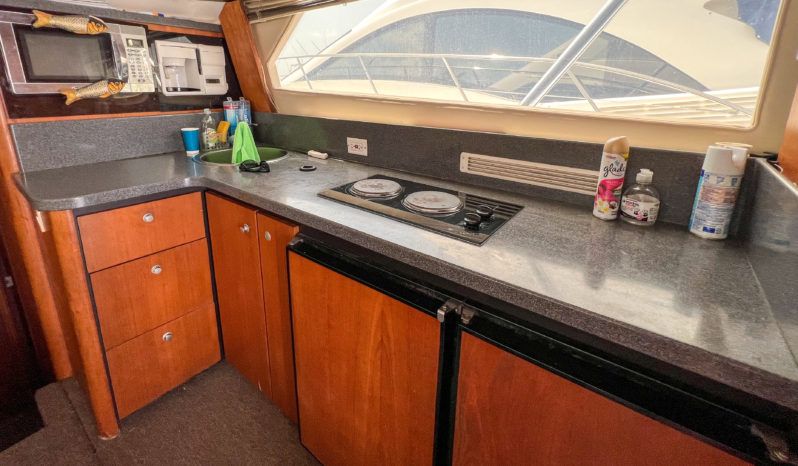 LUHRS 36 full