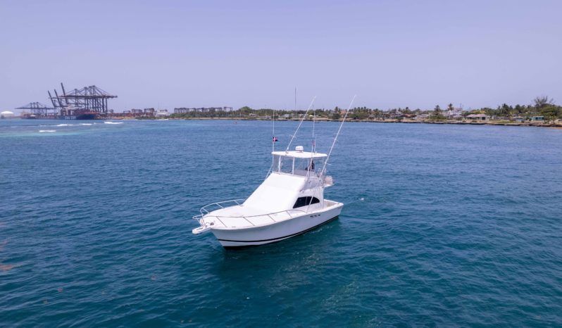 LUHRS 36 full