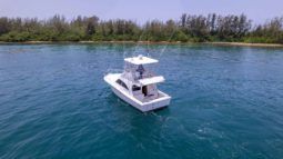 LUHRS 36 full