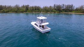 LUHRS 36