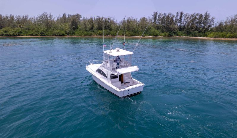 LUHRS 36 full