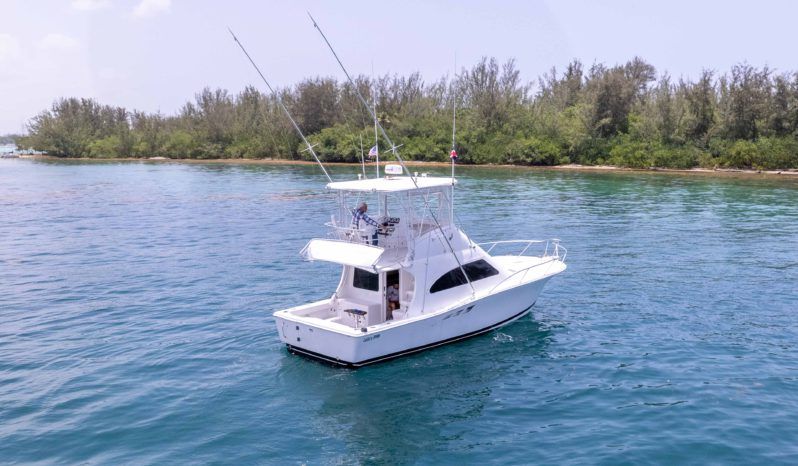 LUHRS 36 full