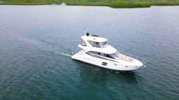 MERIDIAN 441 full