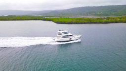 MERIDIAN 441 full