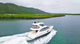 MERIDIAN 441 full