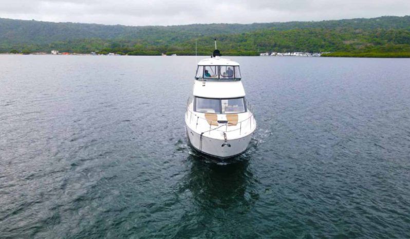 MERIDIAN 441 full