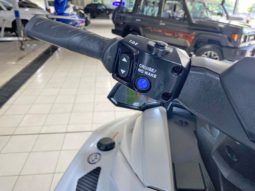 
										MOTO YAMAHA VX1800C-Y full									