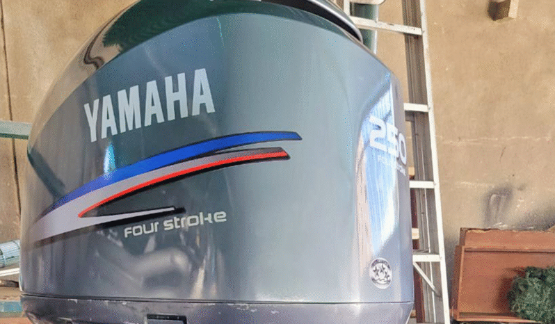 
								MOTOR YAMAHA FOUR STROKE 250 HP full									