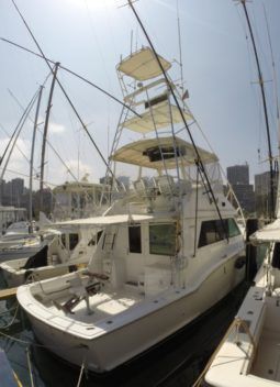 
										HATTERAS 45 full									