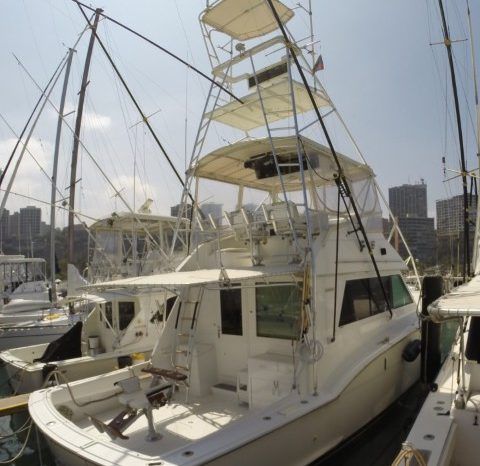
								HATTERAS 45 full									