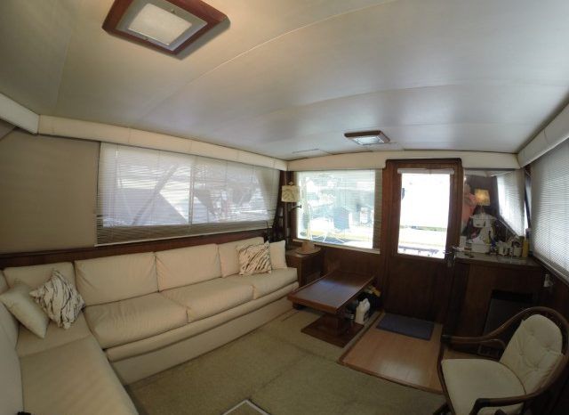 
								HATTERAS 45 full									