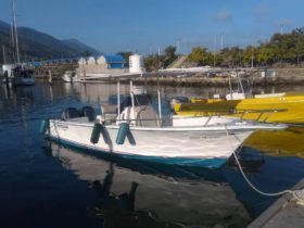 BERTRAM OPEN 26