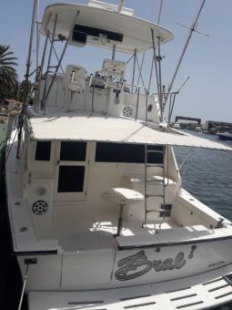 
										OCEAN YACHT 40 full									