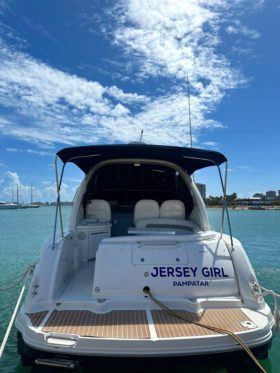SEA RAY SUNDANCER 340 37