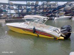 
										PROMARINE 1000SS 33 full									
