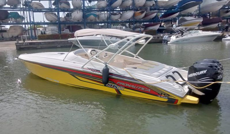 
								PROMARINE 1000SS 33 full									