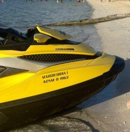 
										MOTO SEA DOO RXT 260 full									