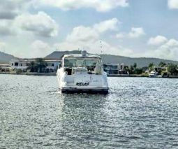 
										CRUISERS YACHTS SPORT COUPE 39 full									