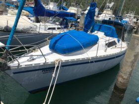 VELERO BENETEAUR FIRTS 35