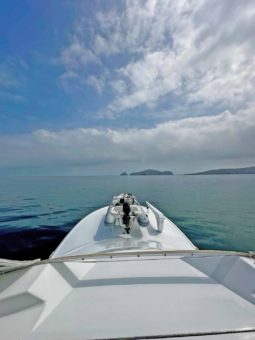 OCEAN SS 62