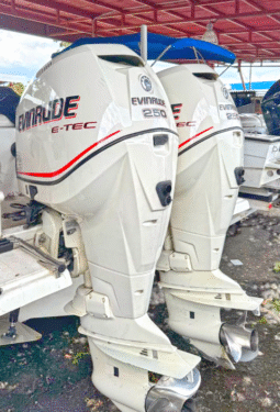 
										PAREJA EVINRUDE E-TEC 250HP full									