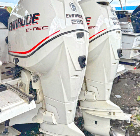 
								PAREJA EVINRUDE E-TEC 250HP full									