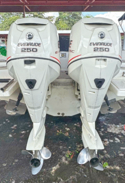 
										PAREJA EVINRUDE E-TEC 250HP full									