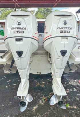 PAREJA EVINRUDE E-TEC 250HP