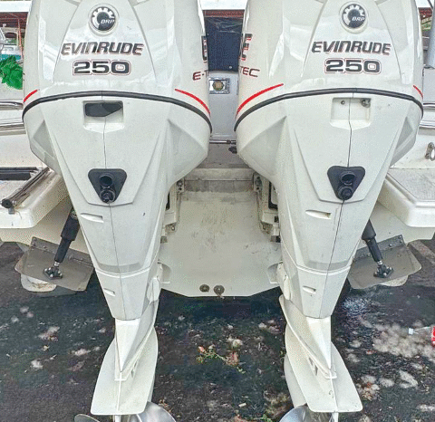
								PAREJA EVINRUDE E-TEC 250HP full									