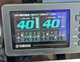 PAREJA YAMAHA FOUR STROKE 250HP