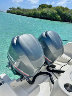 PAREJA YAMAHA FOUR STROKE 250HP