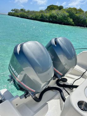 PAREJA YAMAHA FOUR STROKE 250HP