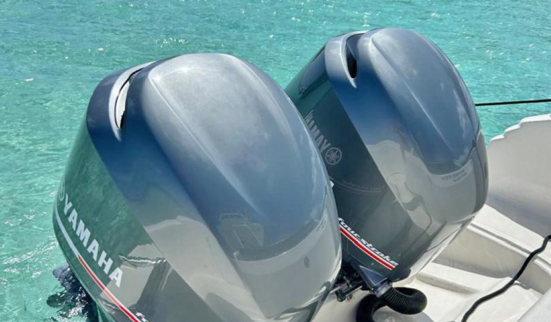 
								PAREJA YAMAHA FOUR STROKE 250HP full									