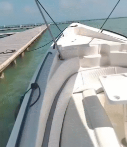 
										PEÑERO AQUABOATS 32 full									