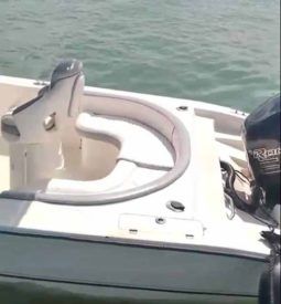 
										PEÑERO AQUABOATS 32 full									