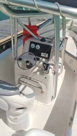 
										PEÑERO AQUABOATS 32 full									