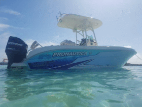 PROMARINE 24